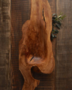 Cuenco Oliva
