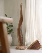 Escultura